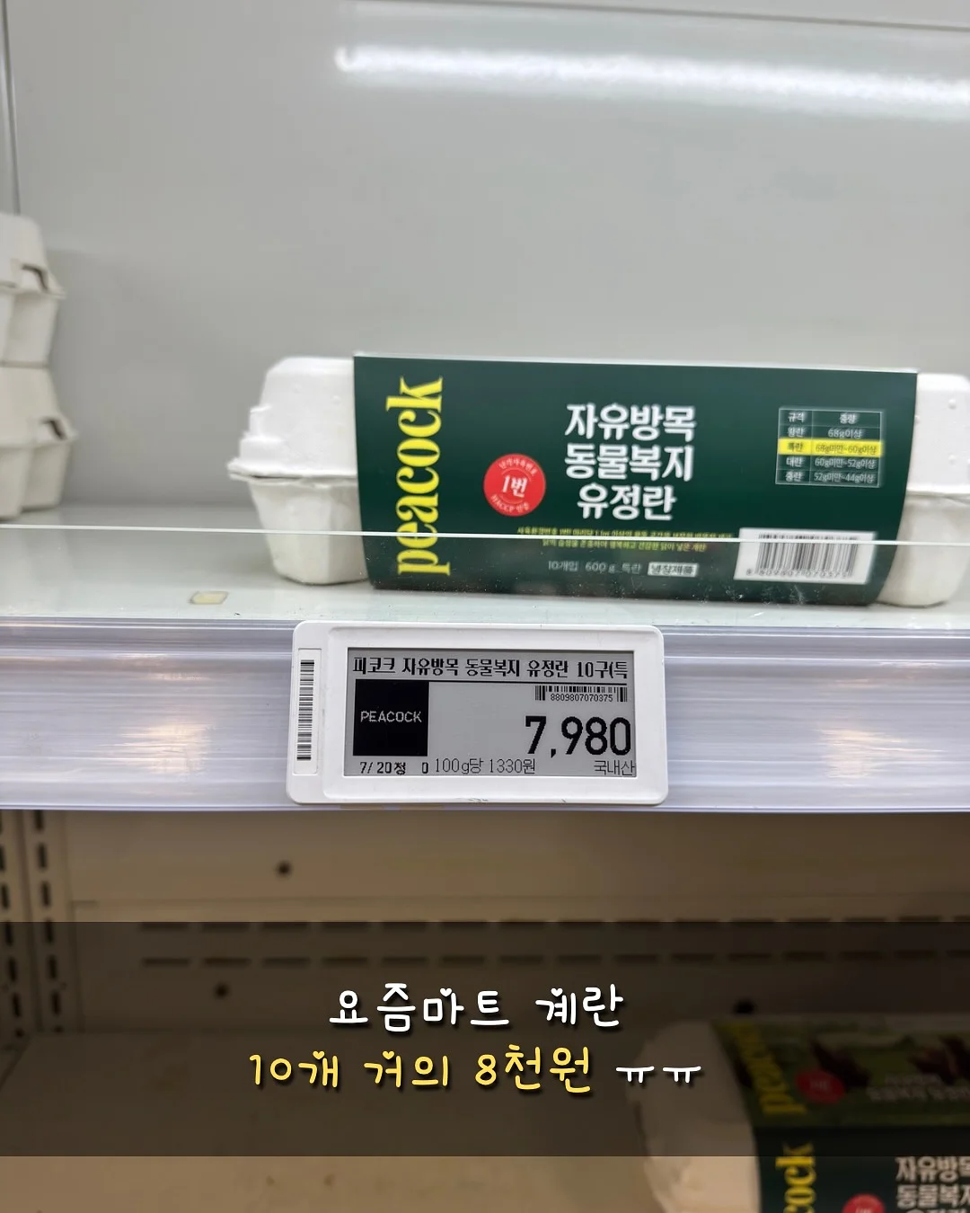 더말로지카 효소 파우더 5
