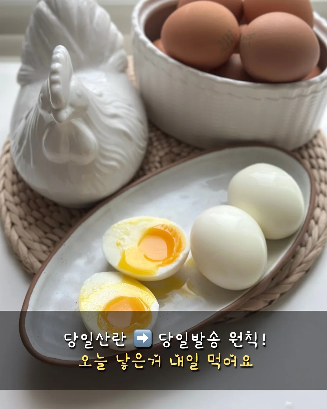 더말로지카 효소 파우더 7
