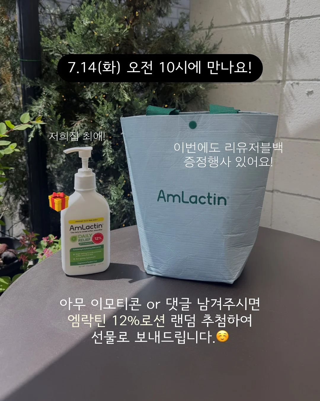 바나나 8
