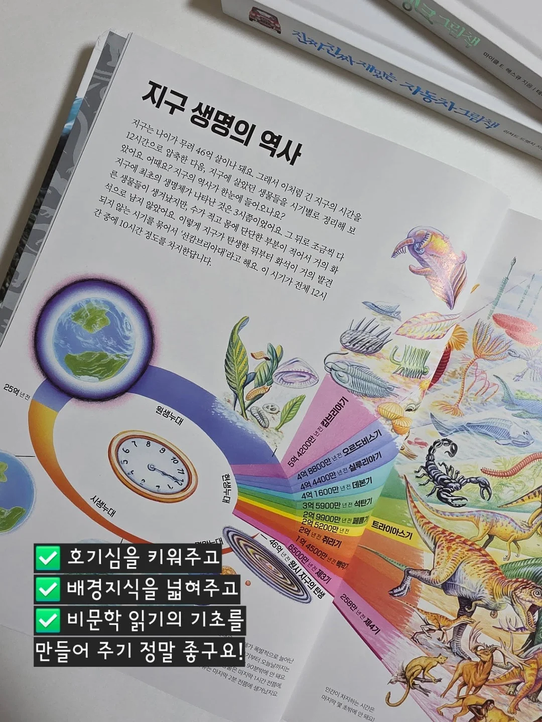 꽃빵 레시피 11