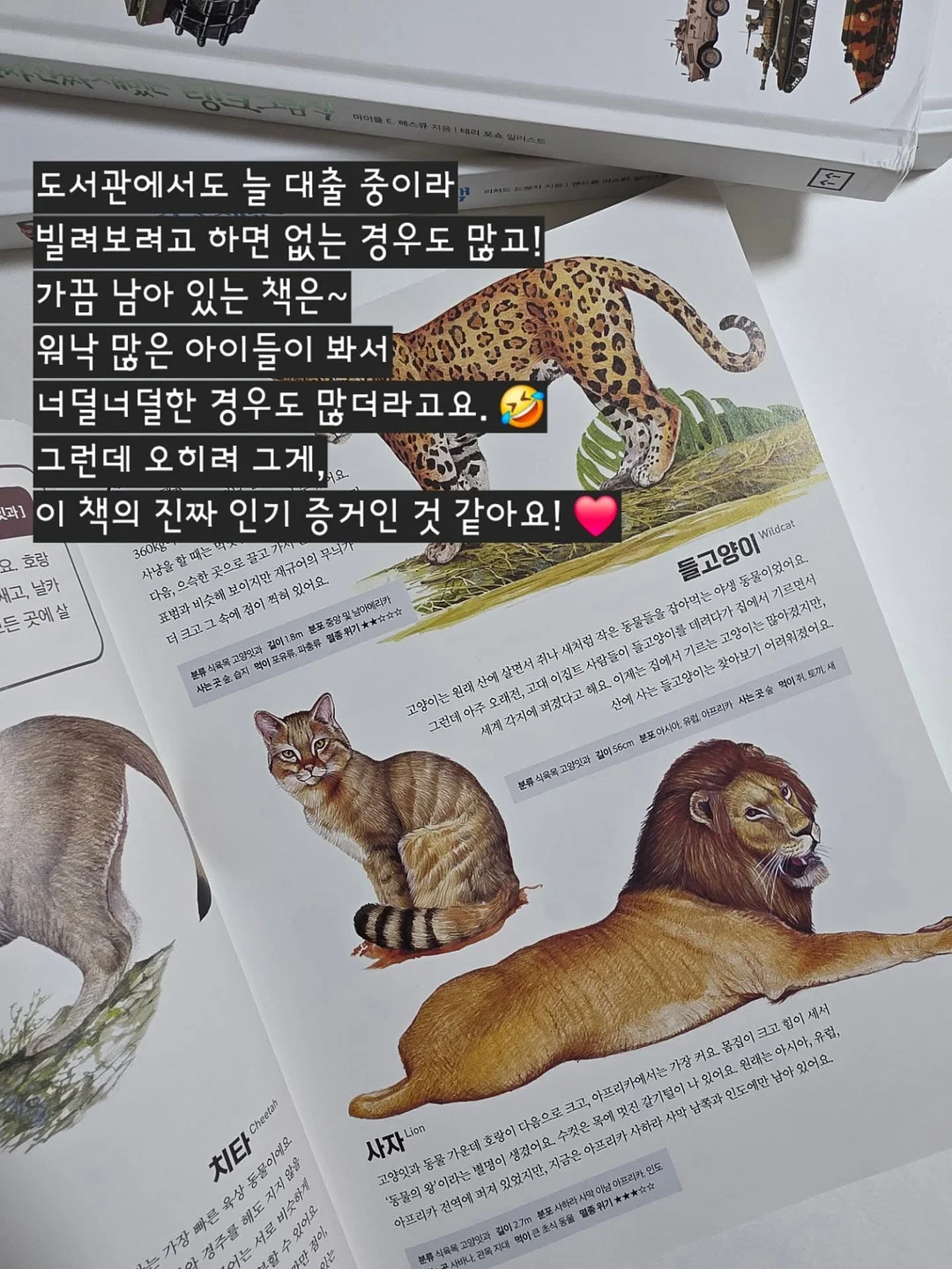 꽃빵 레시피 4