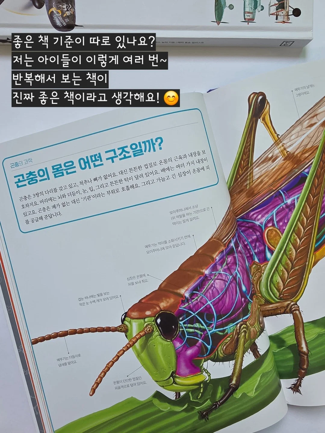 꽃빵 레시피 8