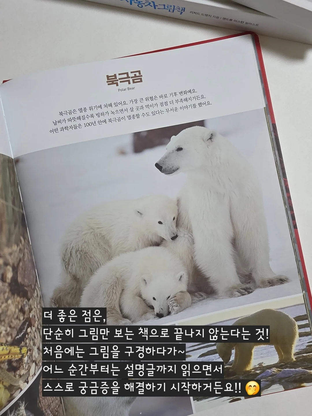 꽃빵 레시피 10