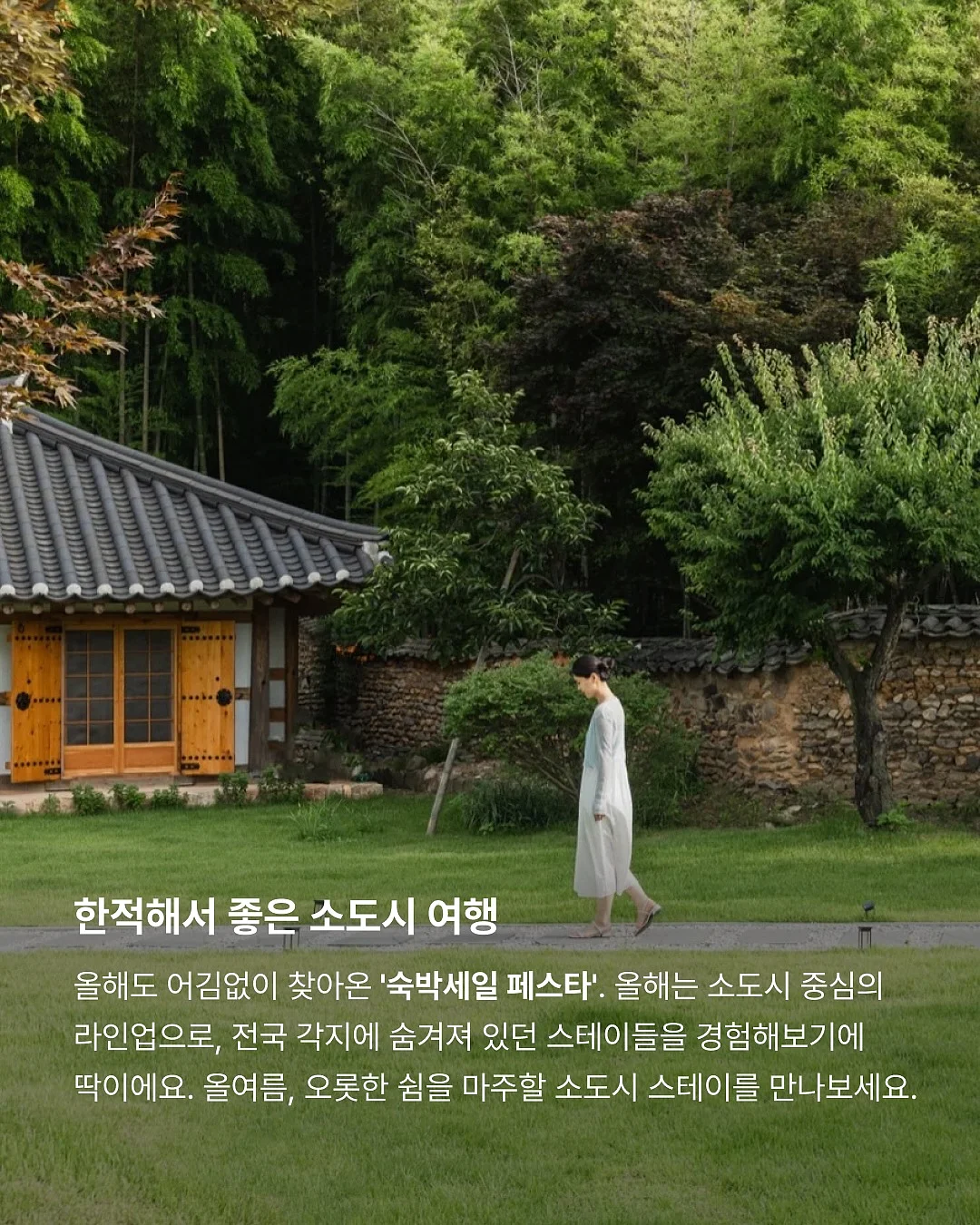프리다이빙 투어 2