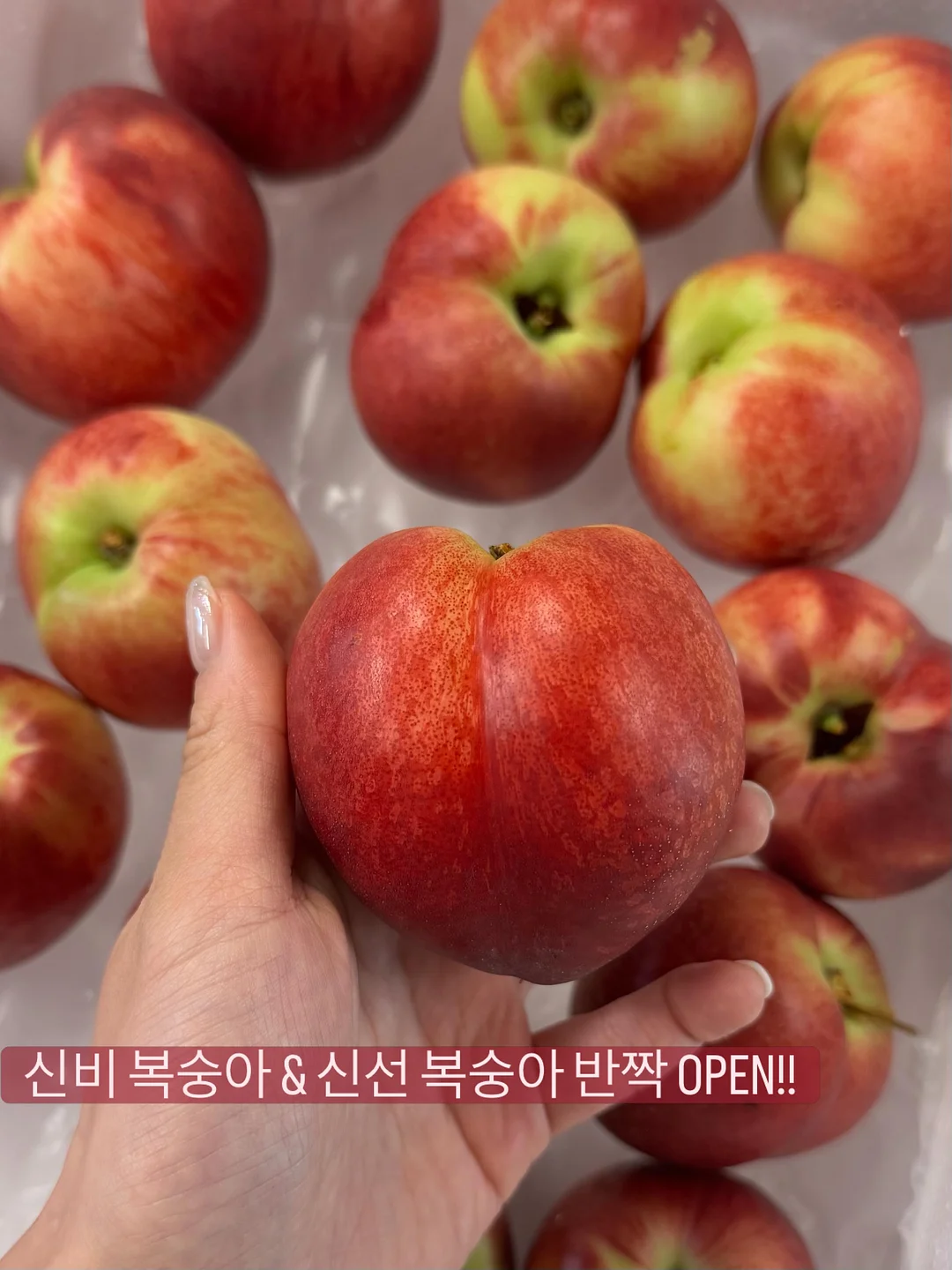 스테인리스 304 찜기 1