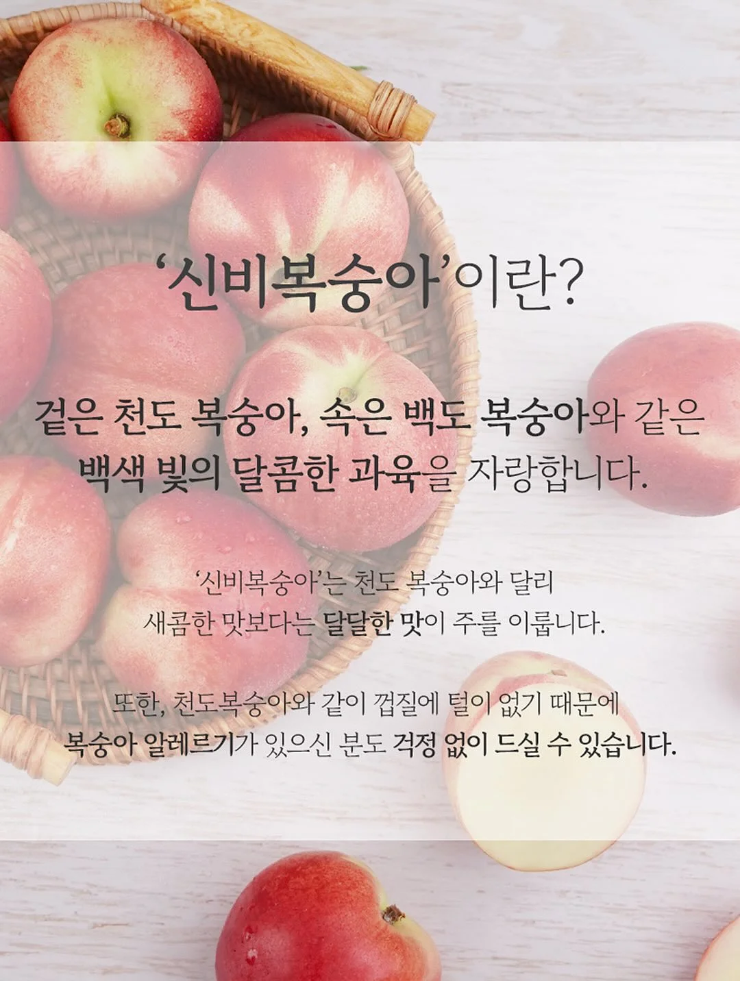 스테인리스 304 찜기 11