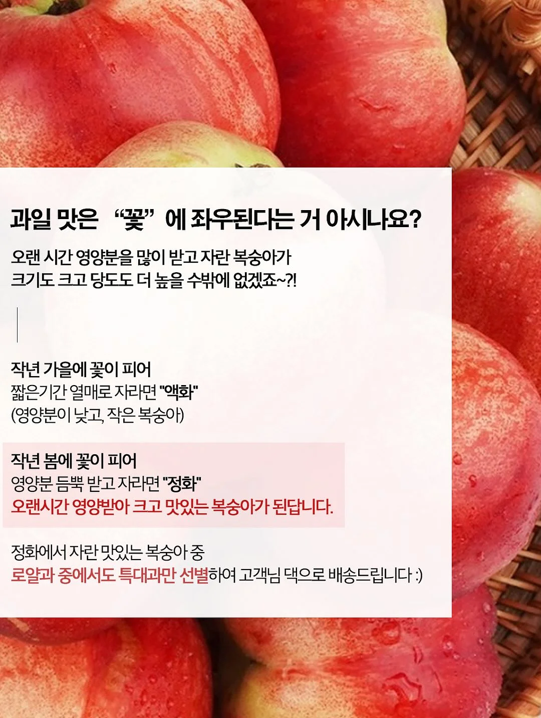 스테인리스 304 찜기 12