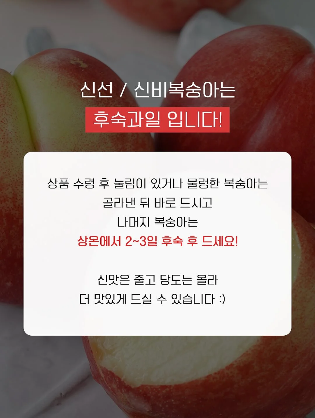 스테인리스 304 찜기 15