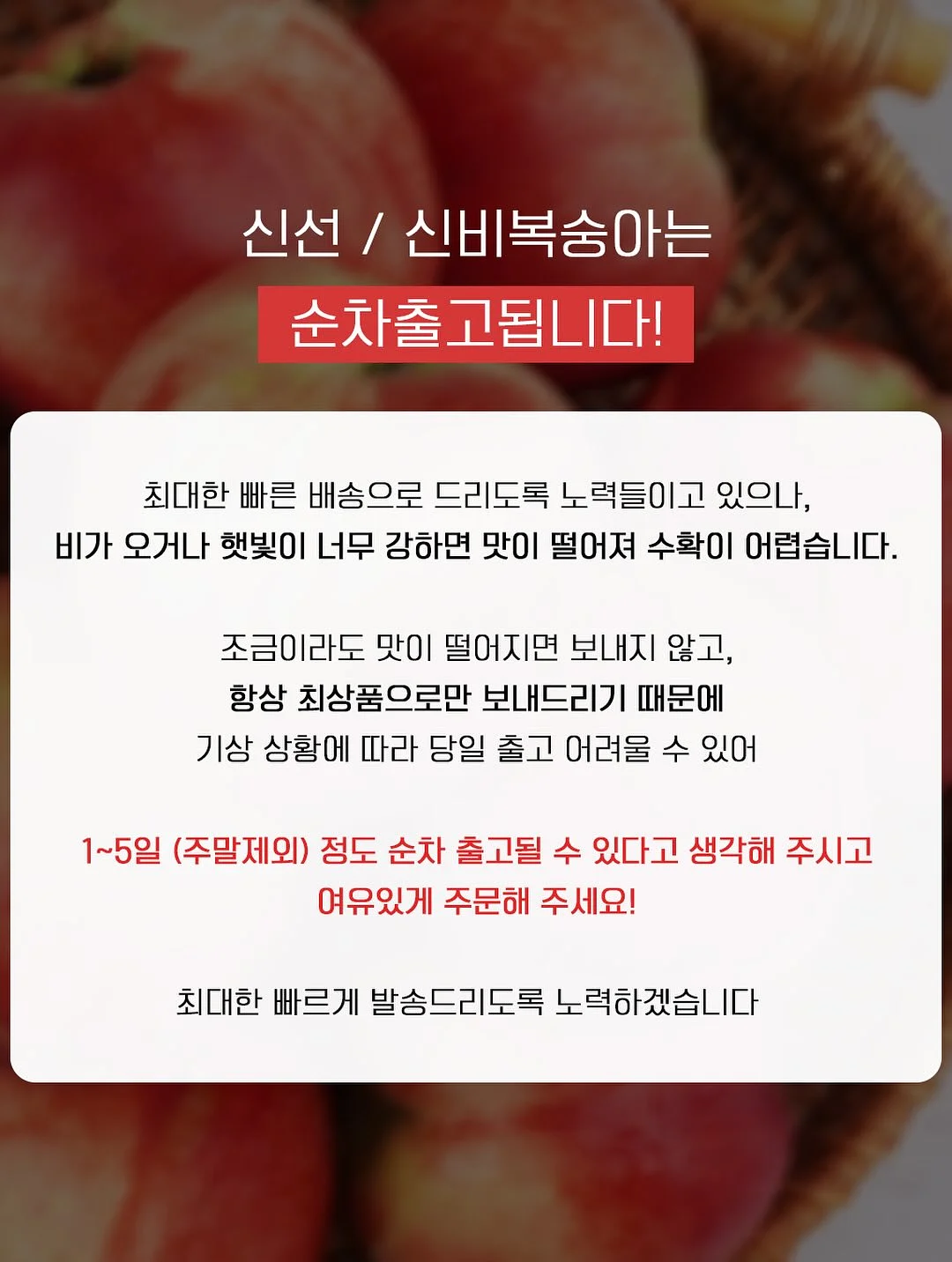 스테인리스 304 찜기 16