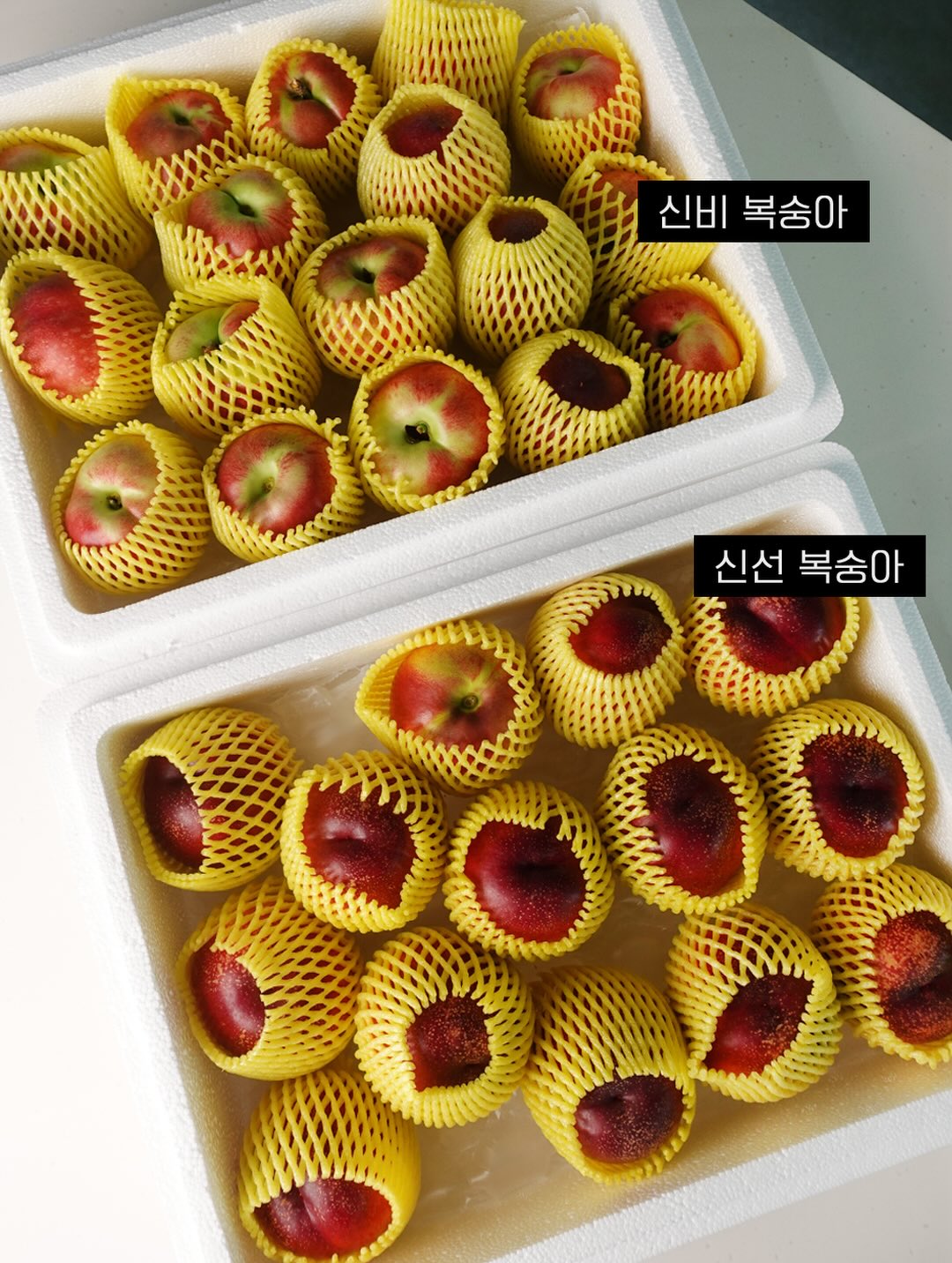 스테인리스 304 찜기 5
