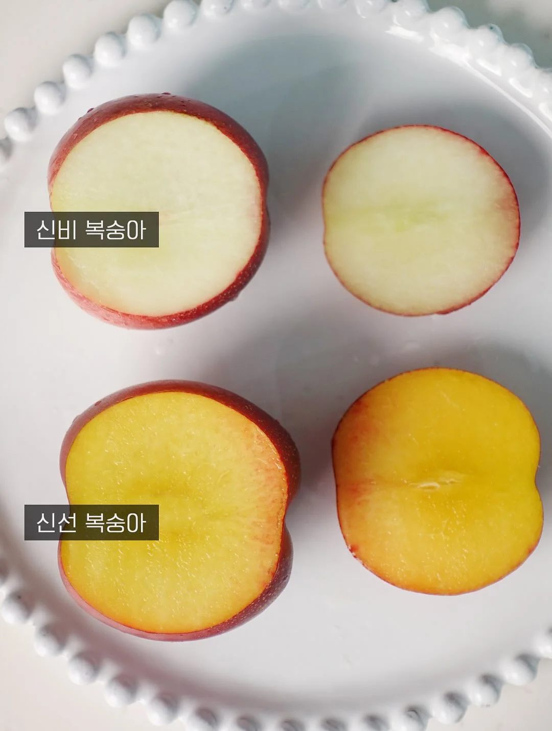 스테인리스 304 찜기 6