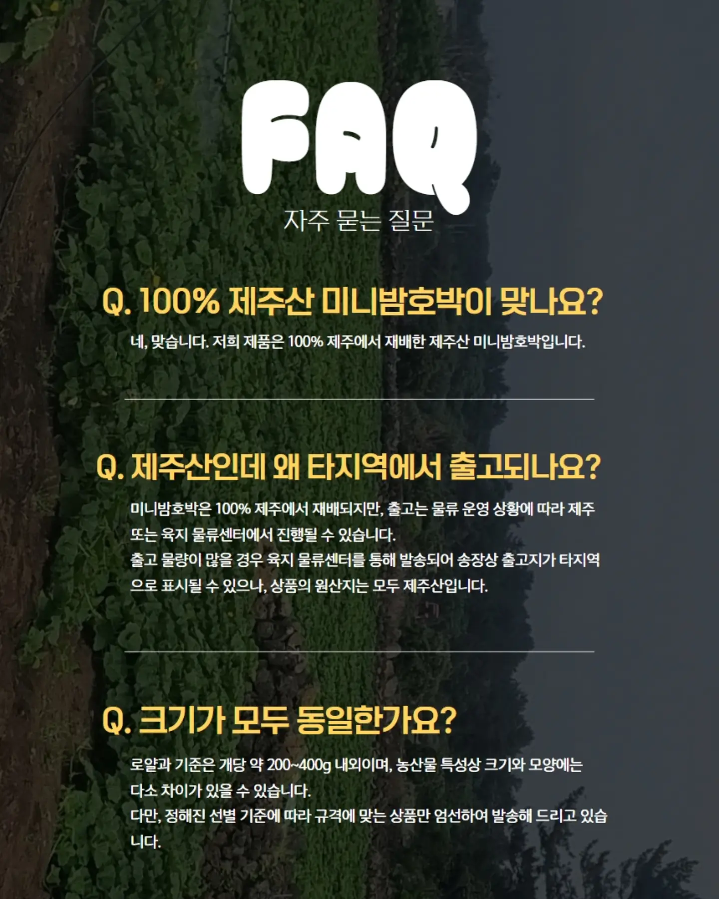 굽술잔 겸 굽찻잔 15