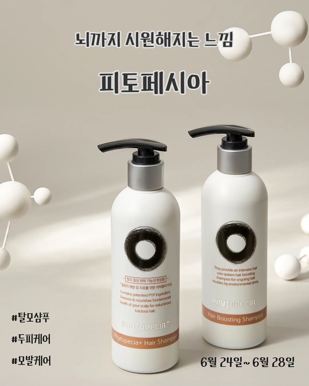 도산제과 스노우치즈케이크 1