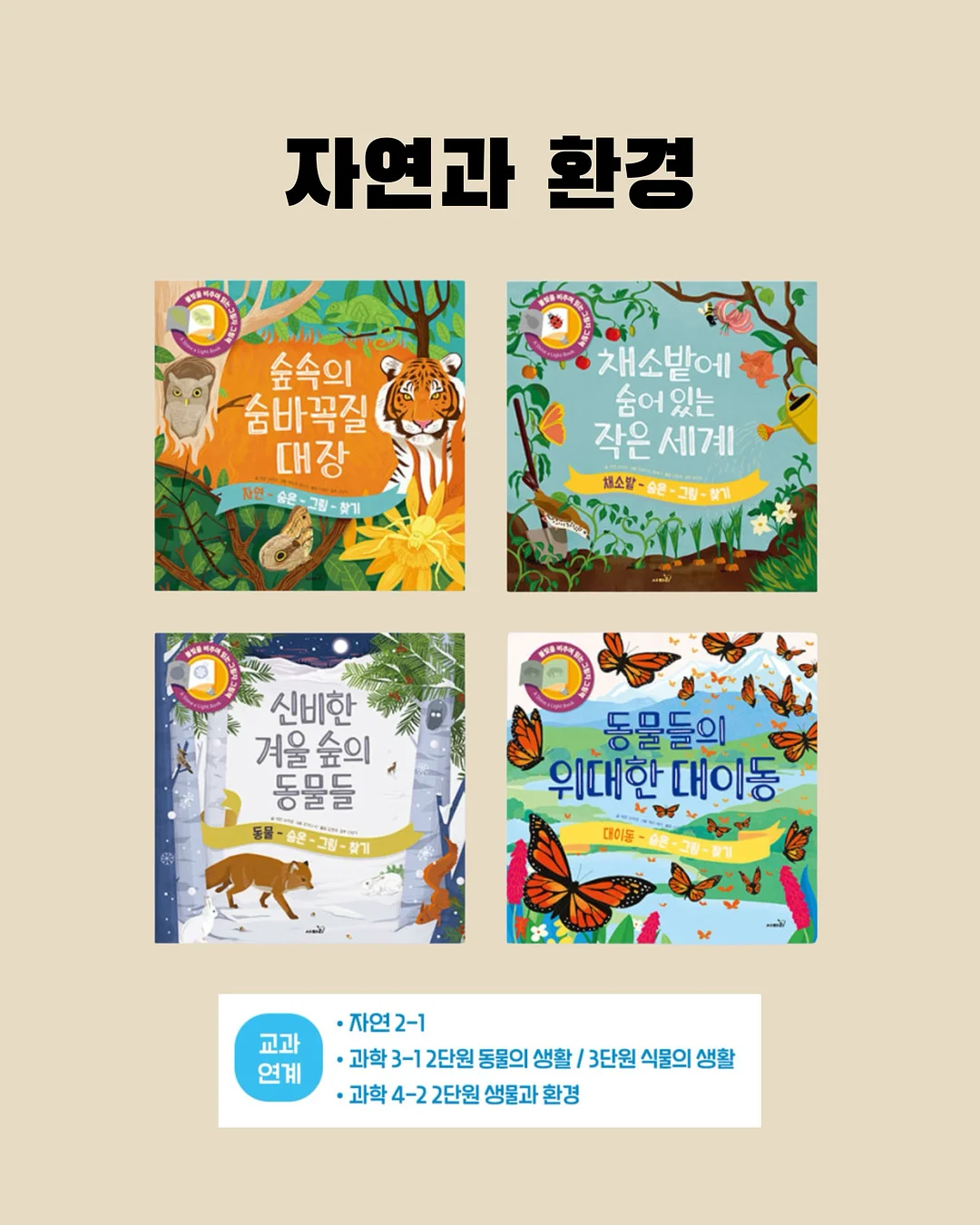 네잎클로버 쿠키 박스 14