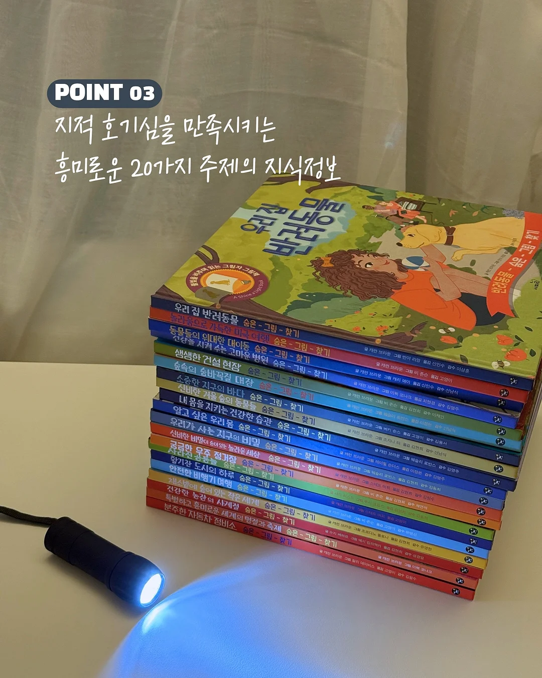 네잎클로버 쿠키 박스 6