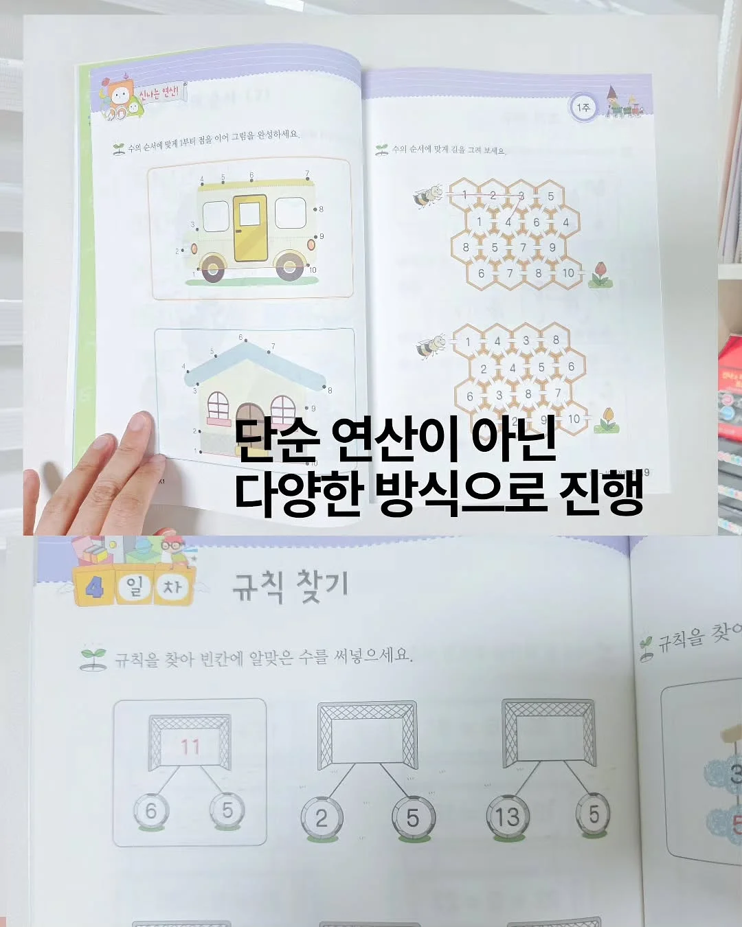 여리 하치 2