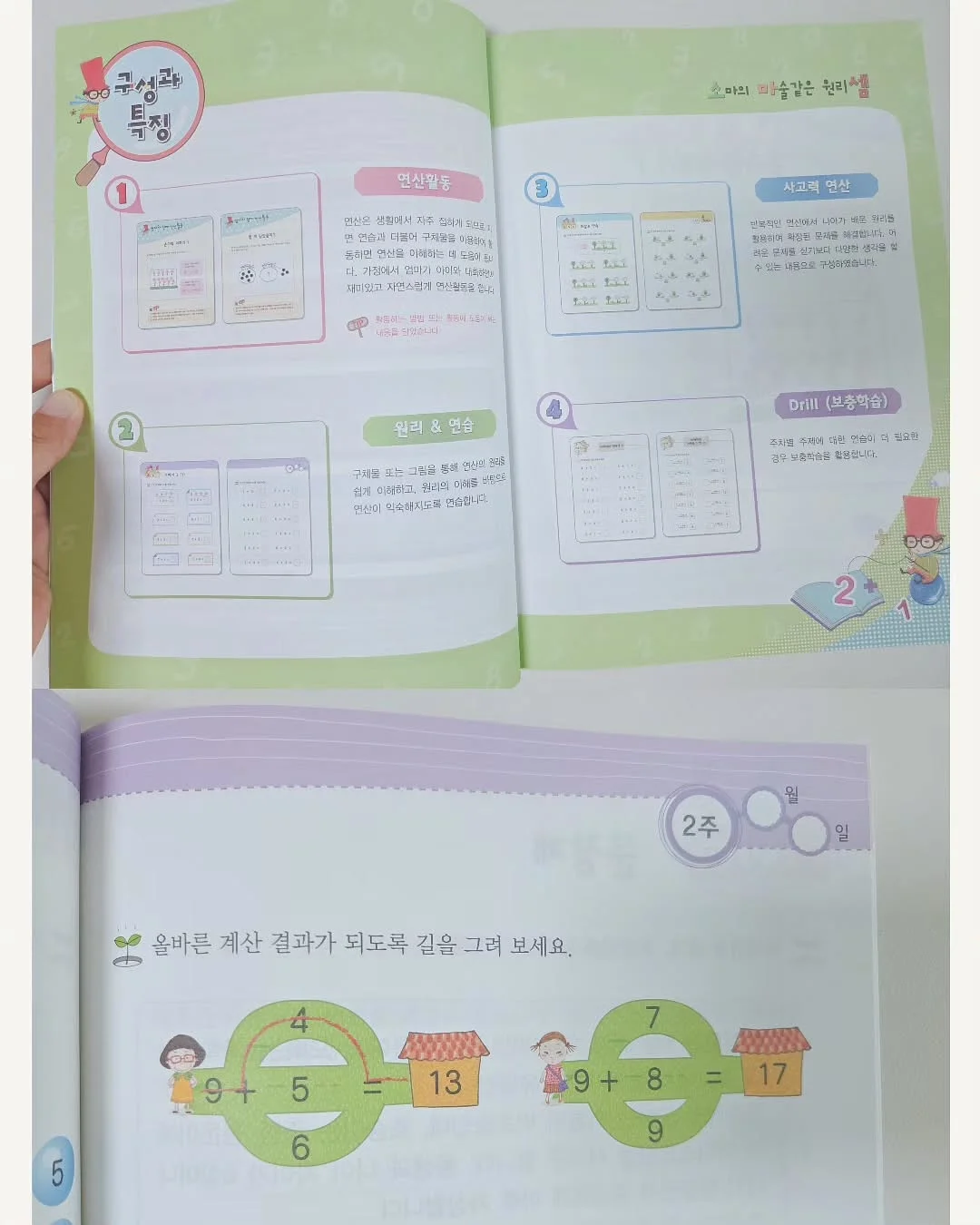 여리 하치 5