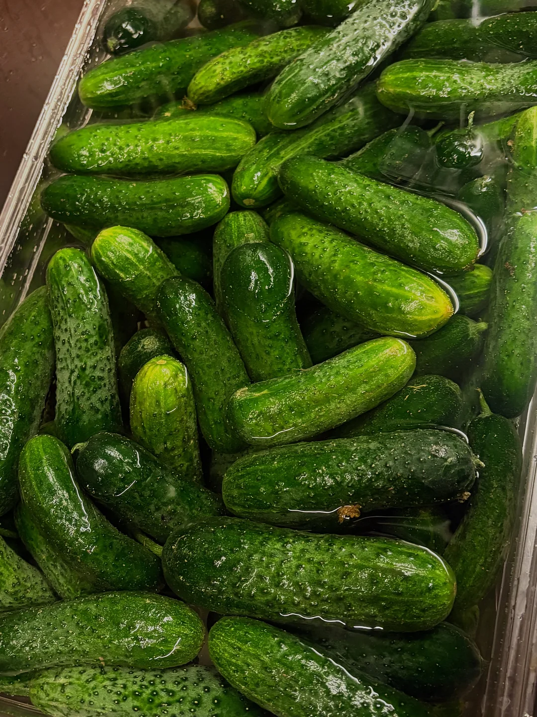 헬로냥이쿠키 생베이스 2