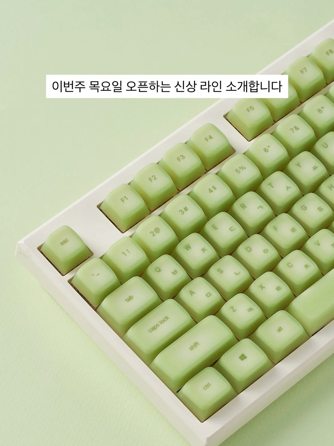 반스 스니커즈 끈 1