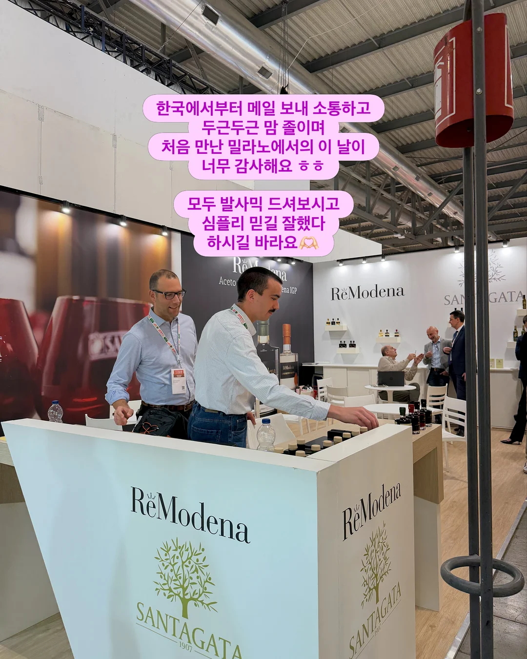 스텐 도마 18