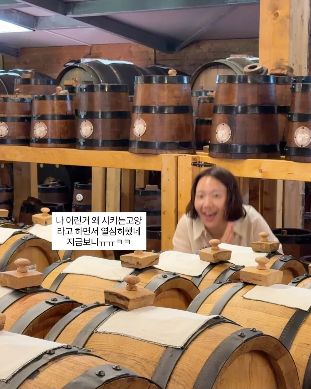 스텐 도마 2
