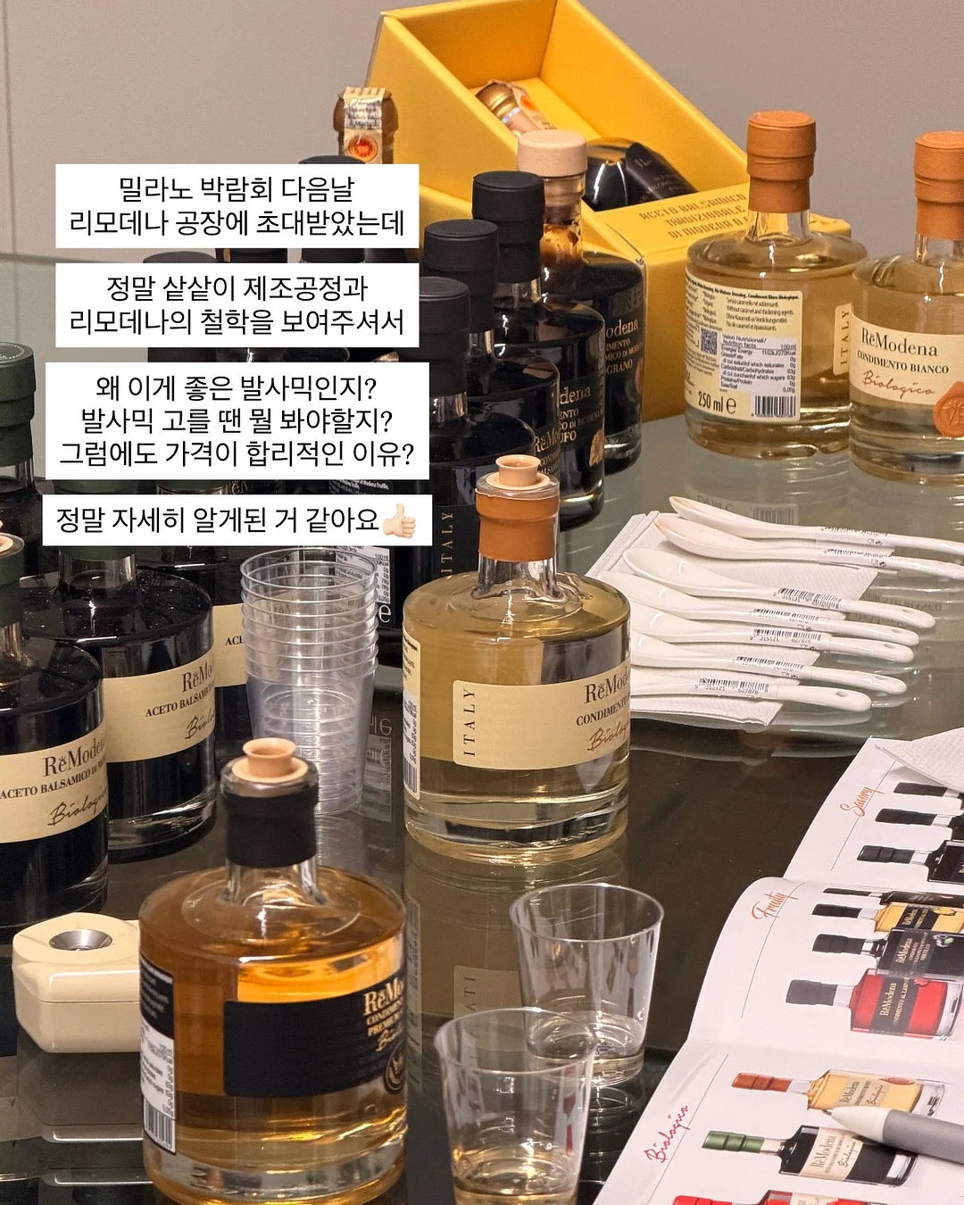 스텐 도마 6