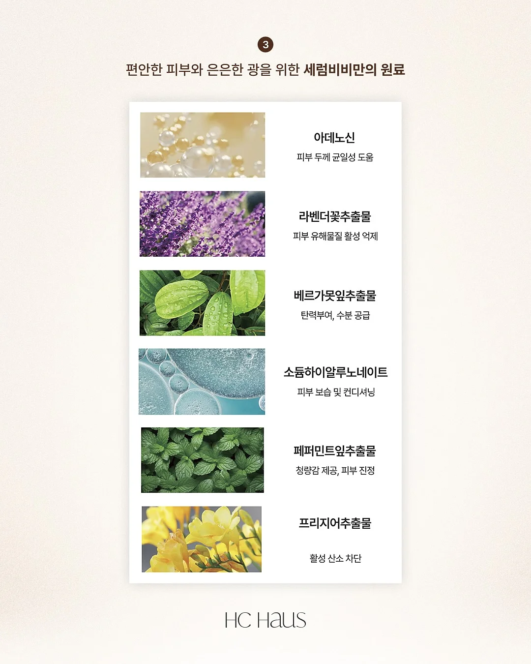 쉬가이아 샴푸 6