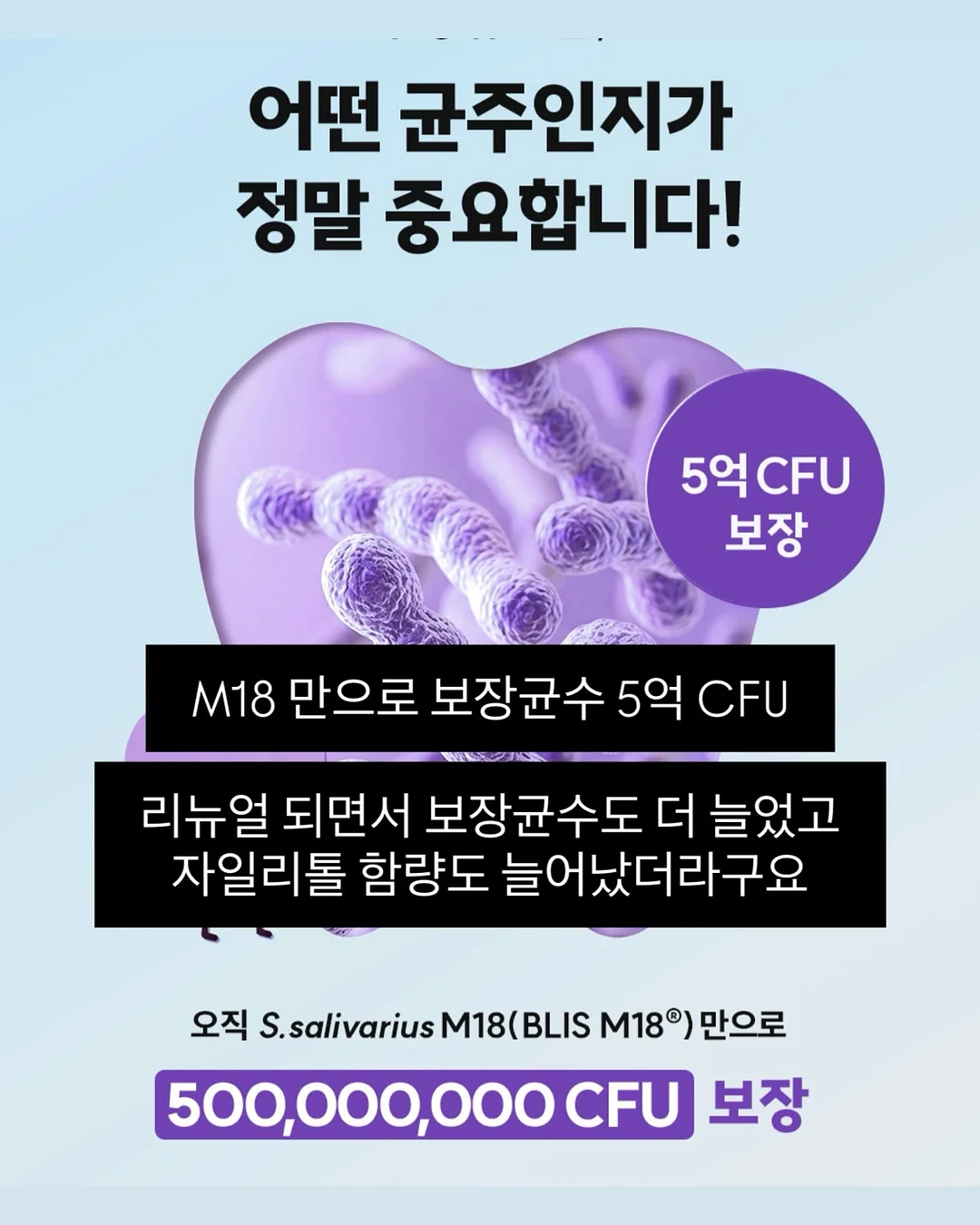 동안 비결 크림 12