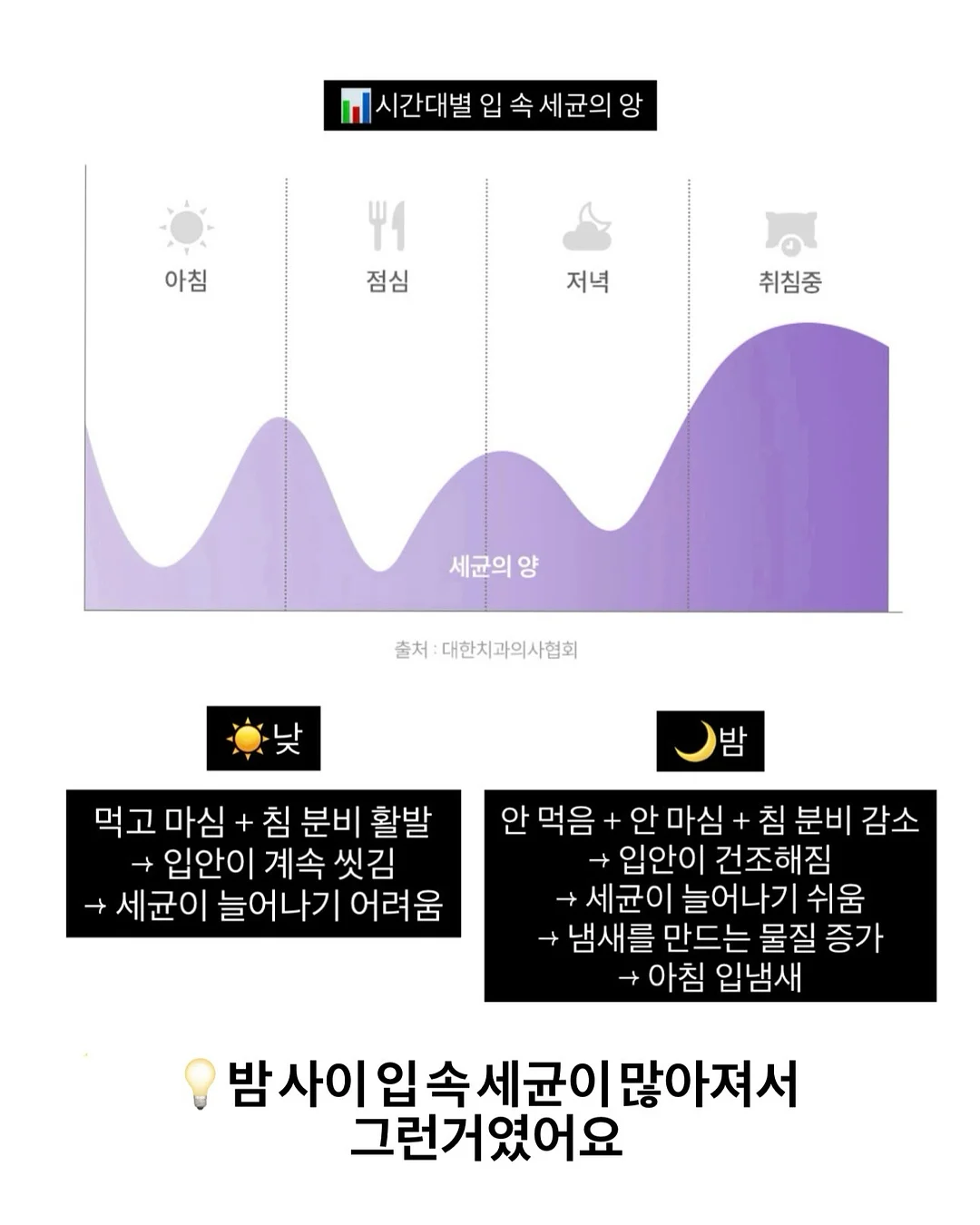 동안 비결 크림 4