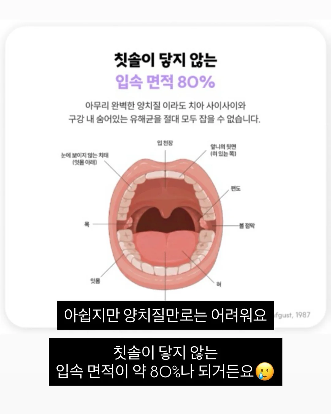 동안 비결 크림 6