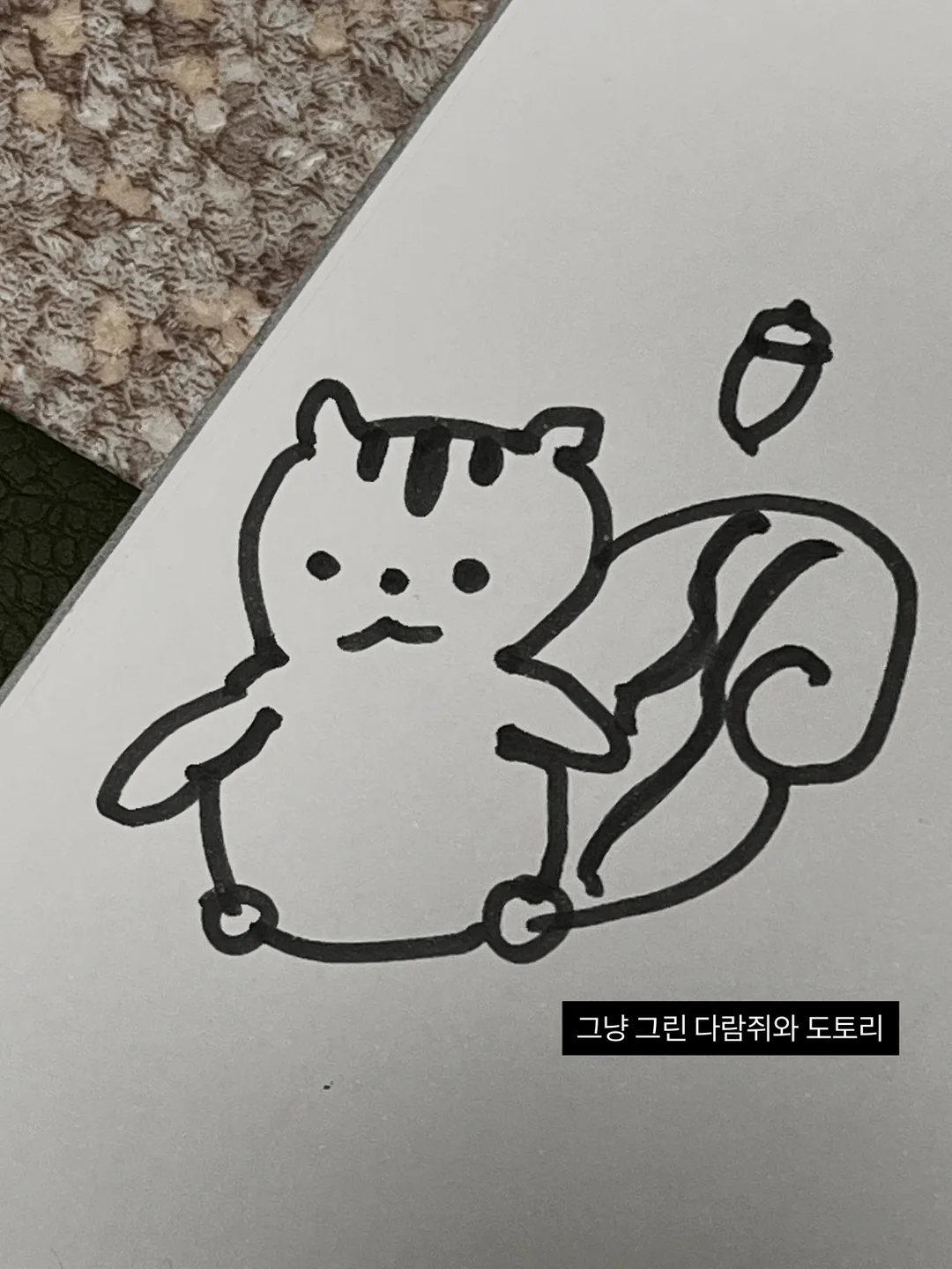 동물제약회사도시락 2