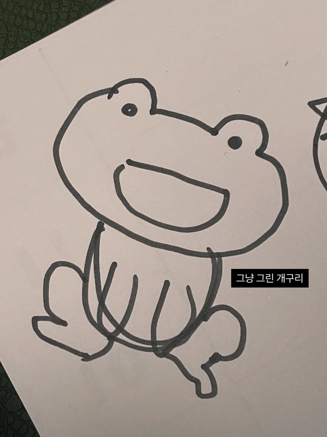 동물제약회사도시락 4