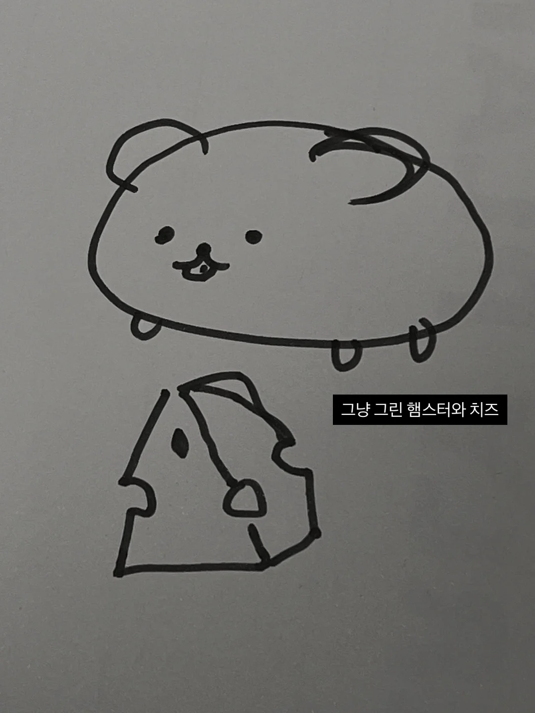 동물제약회사도시락 5