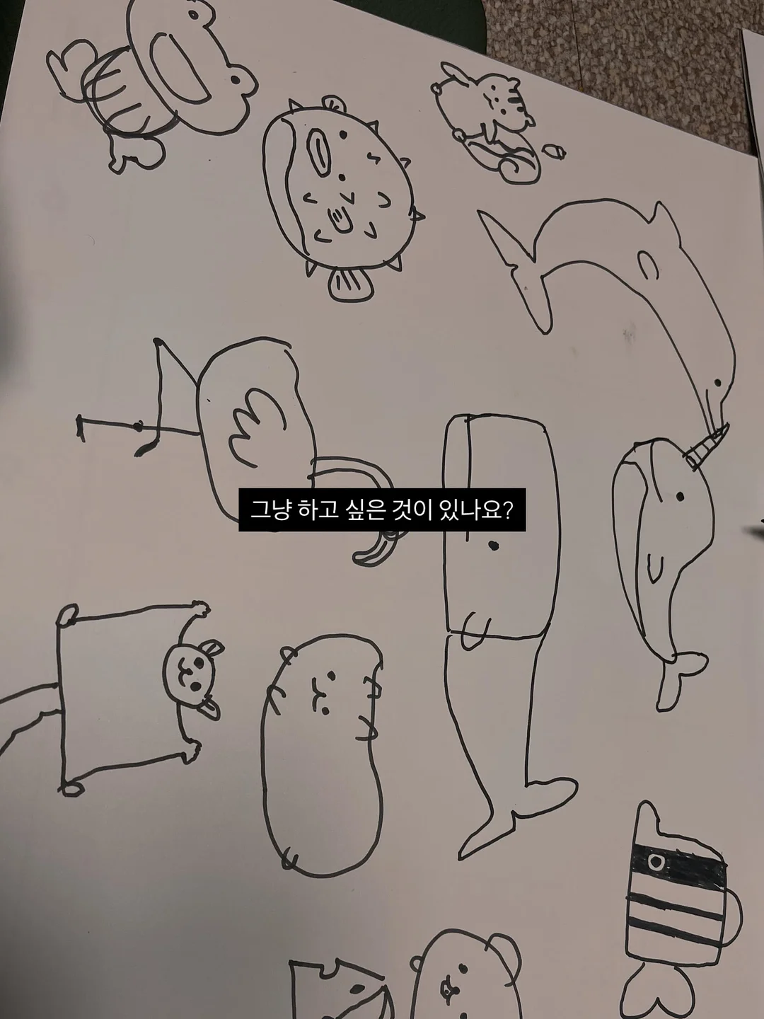동물제약회사도시락 7