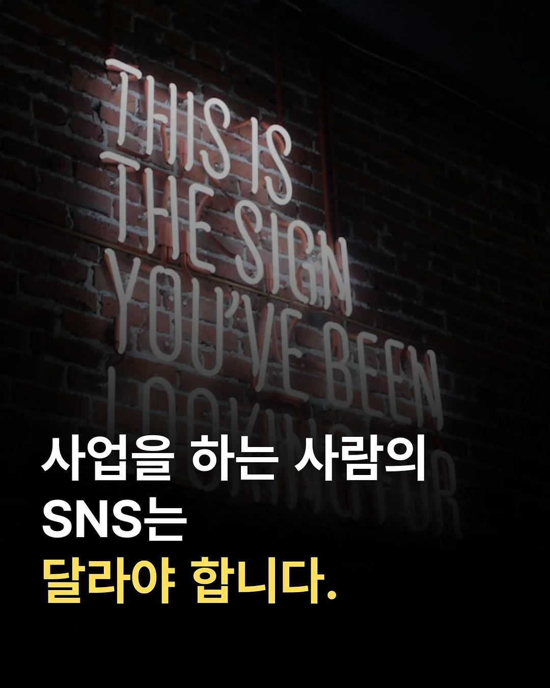 에세이 교환 독서 1
