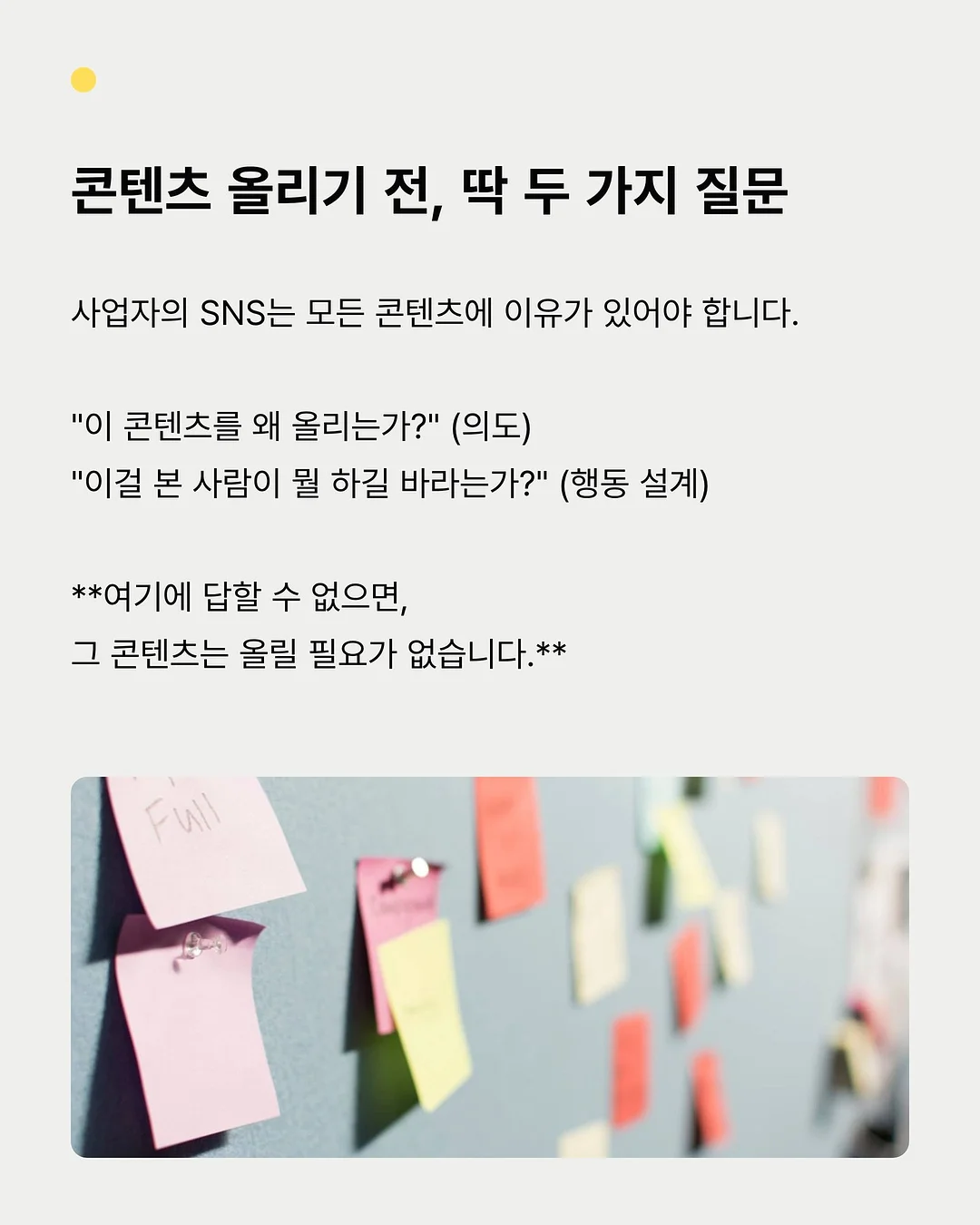 에세이 교환 독서 5