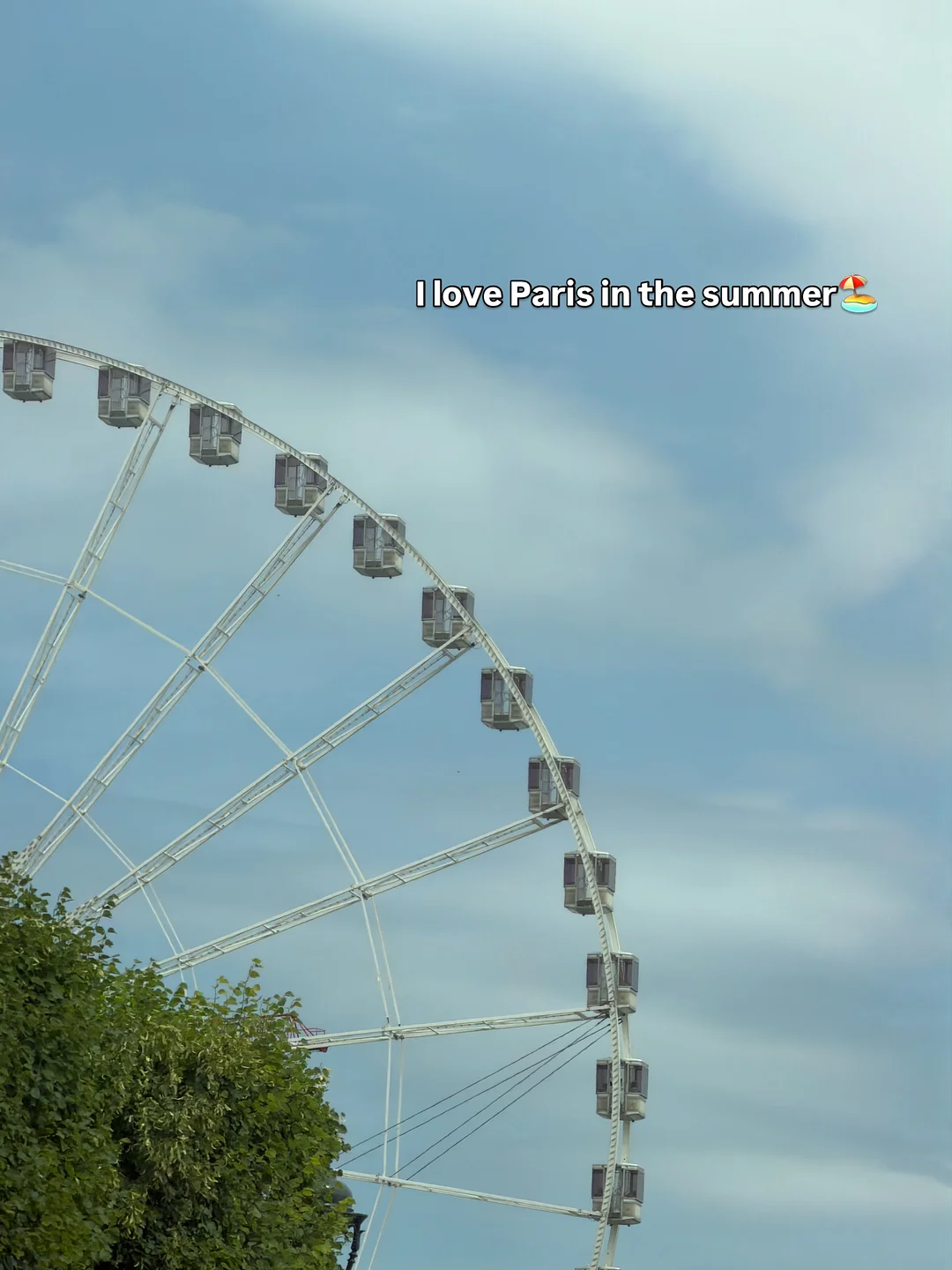 복수박 4