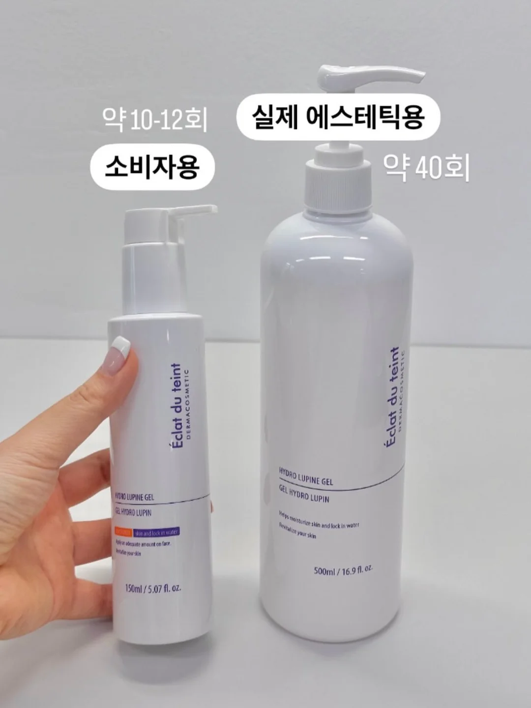 KYPG 학술스터디 19