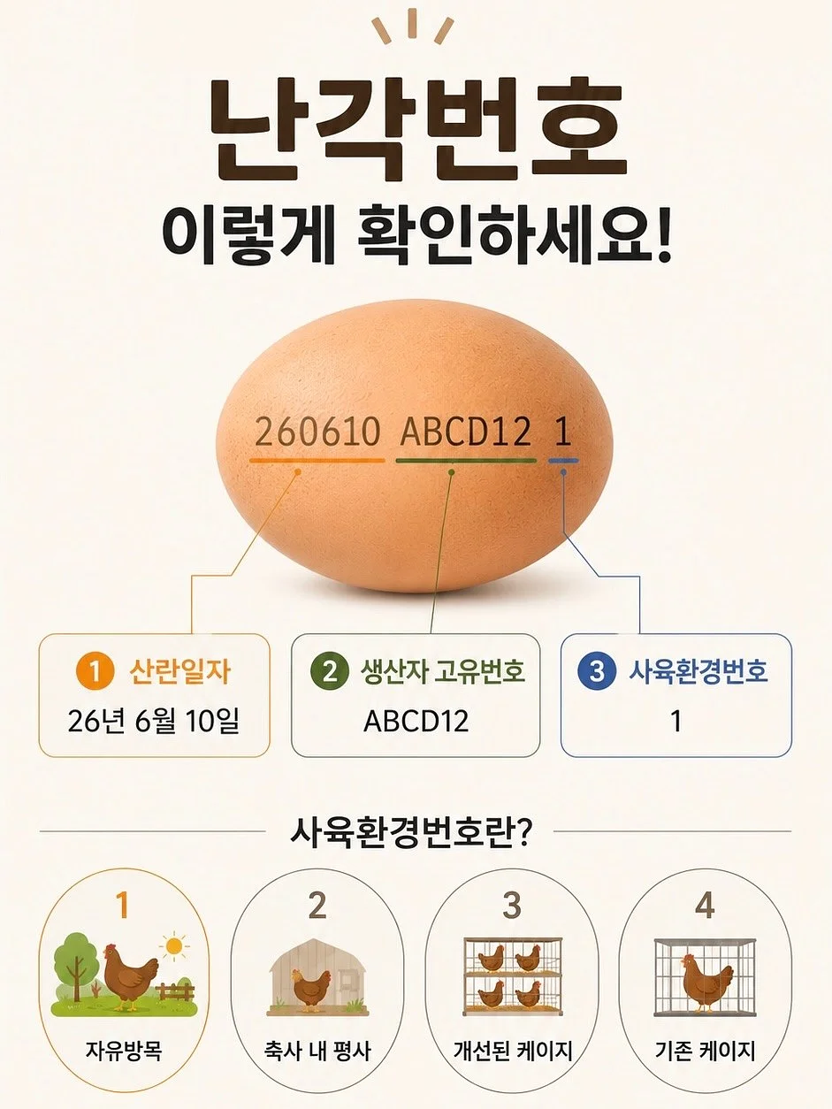 아기 삔 2