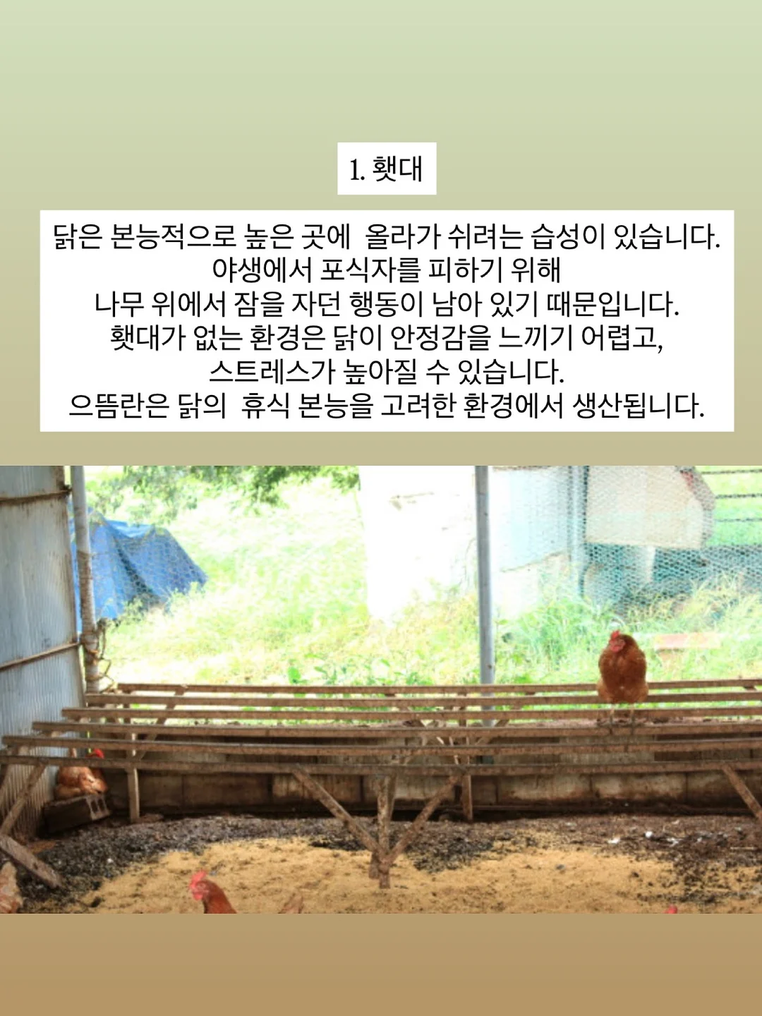 아기 삔 5