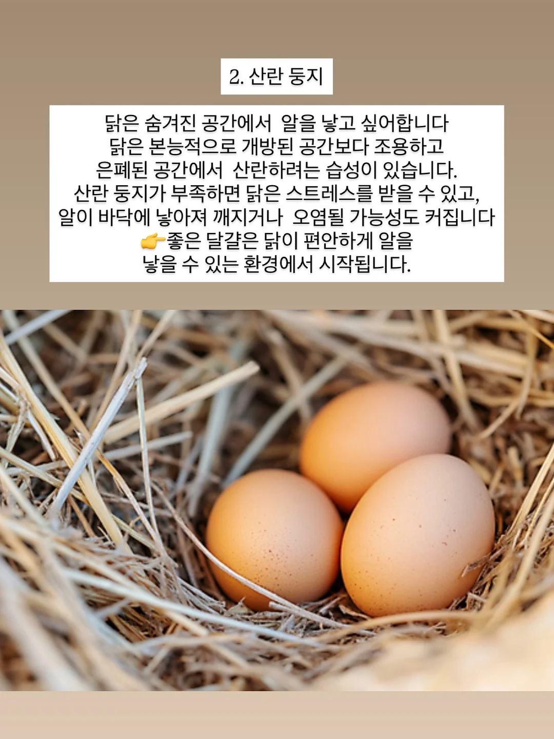 아기 삔 6