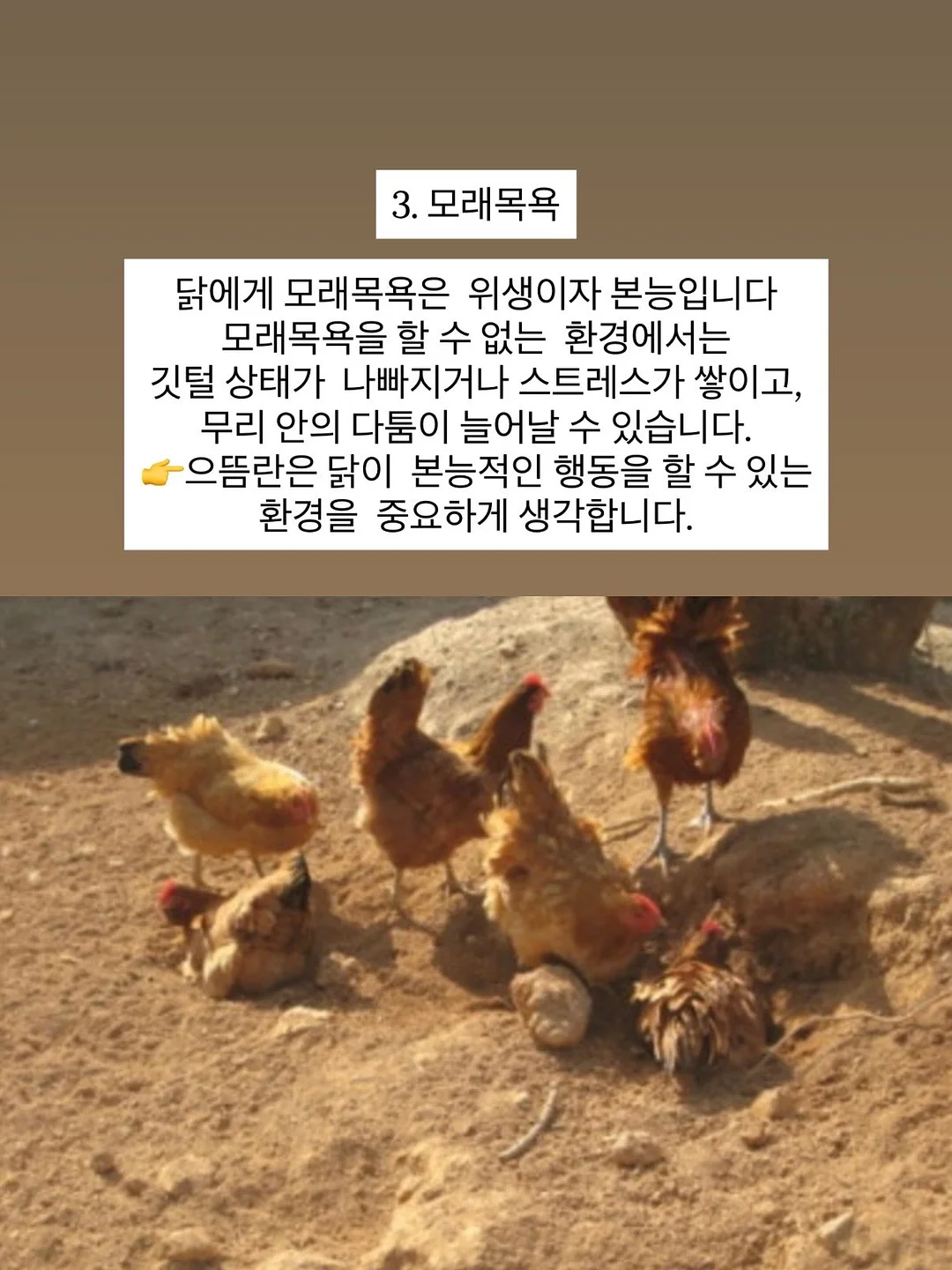 아기 삔 7