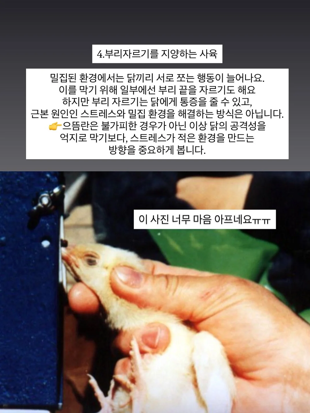 아기 삔 8