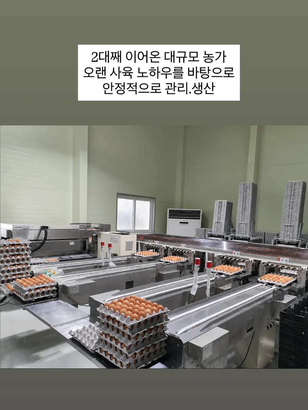 아기 삔 10