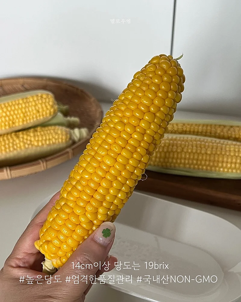 오로라 샤 스커트 3