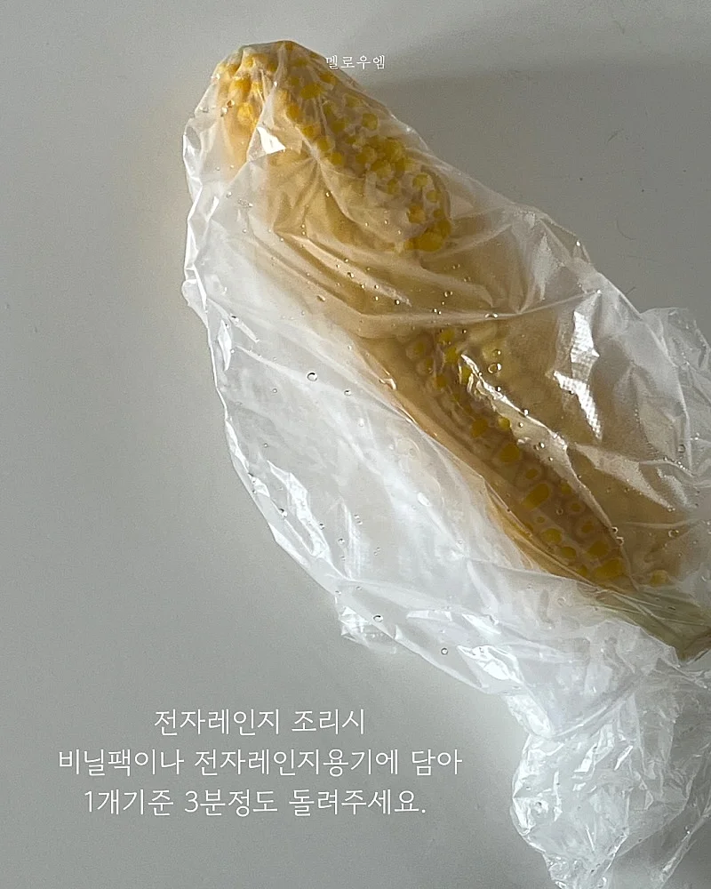 오로라 샤 스커트 4