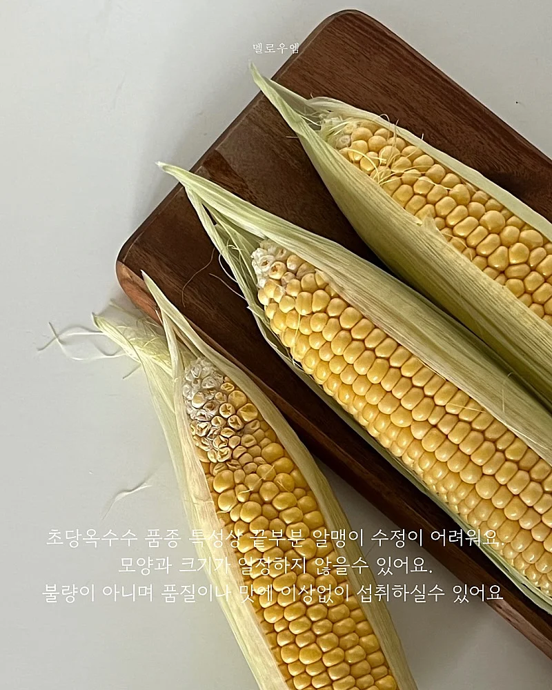 오로라 샤 스커트 5