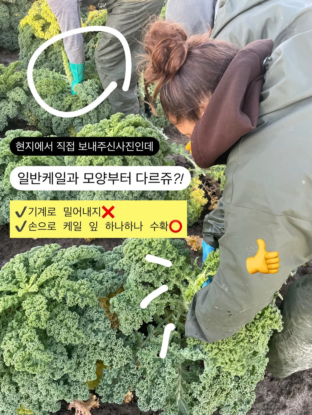 말랑이세트 11