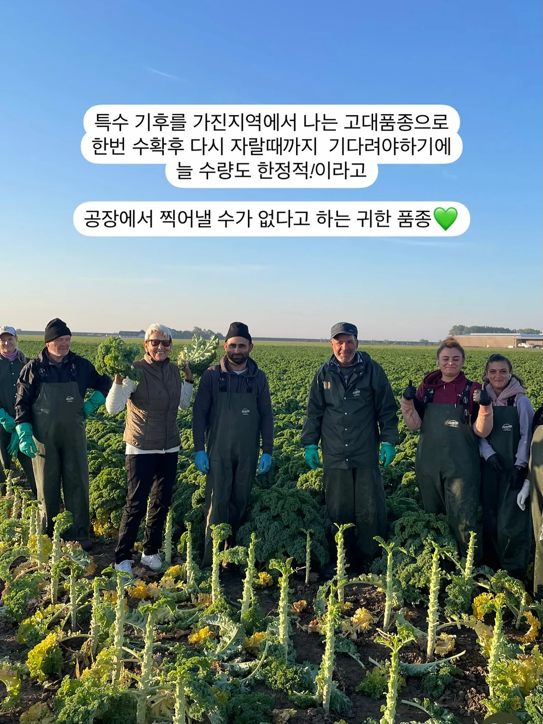말랑이세트 14