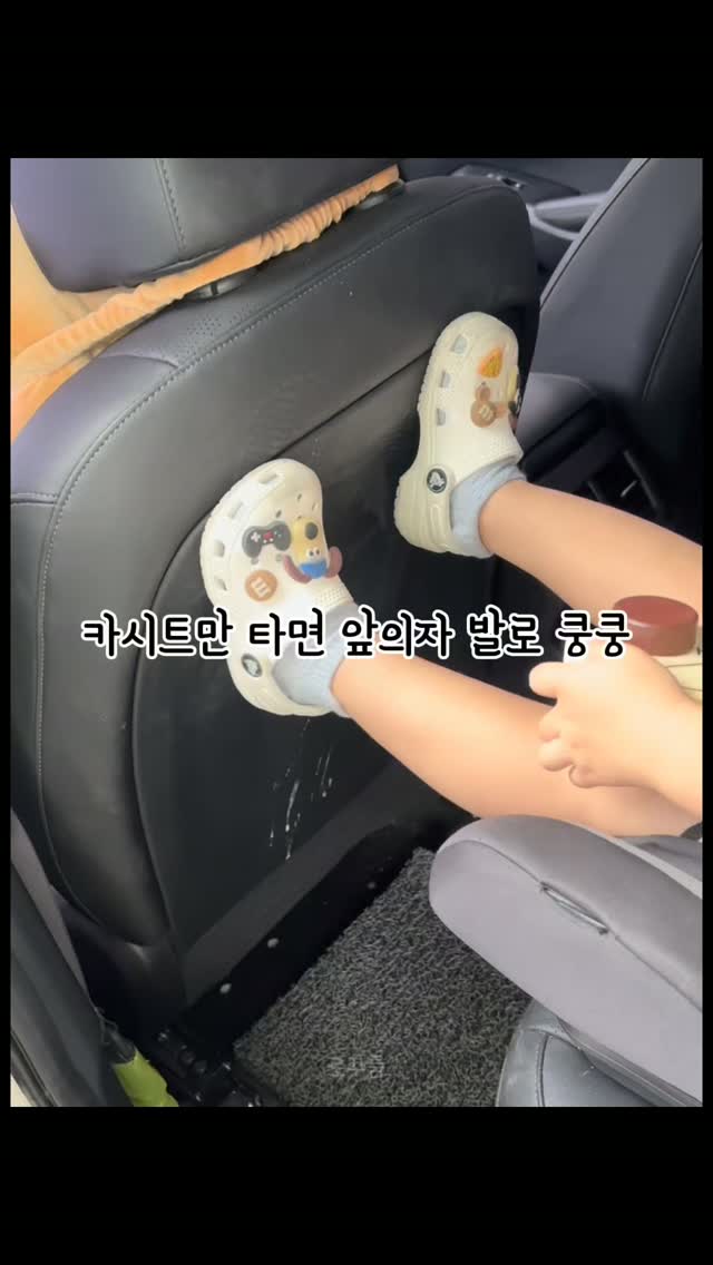 고당도 제주 레드키위